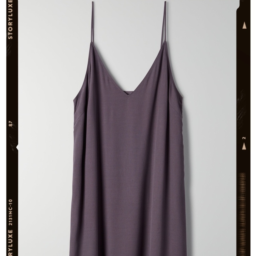 Aritzia Vivienne Slip Dress
